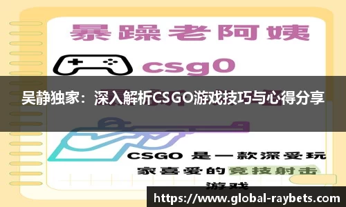 吴静独家：深入解析CSGO游戏技巧与心得分享